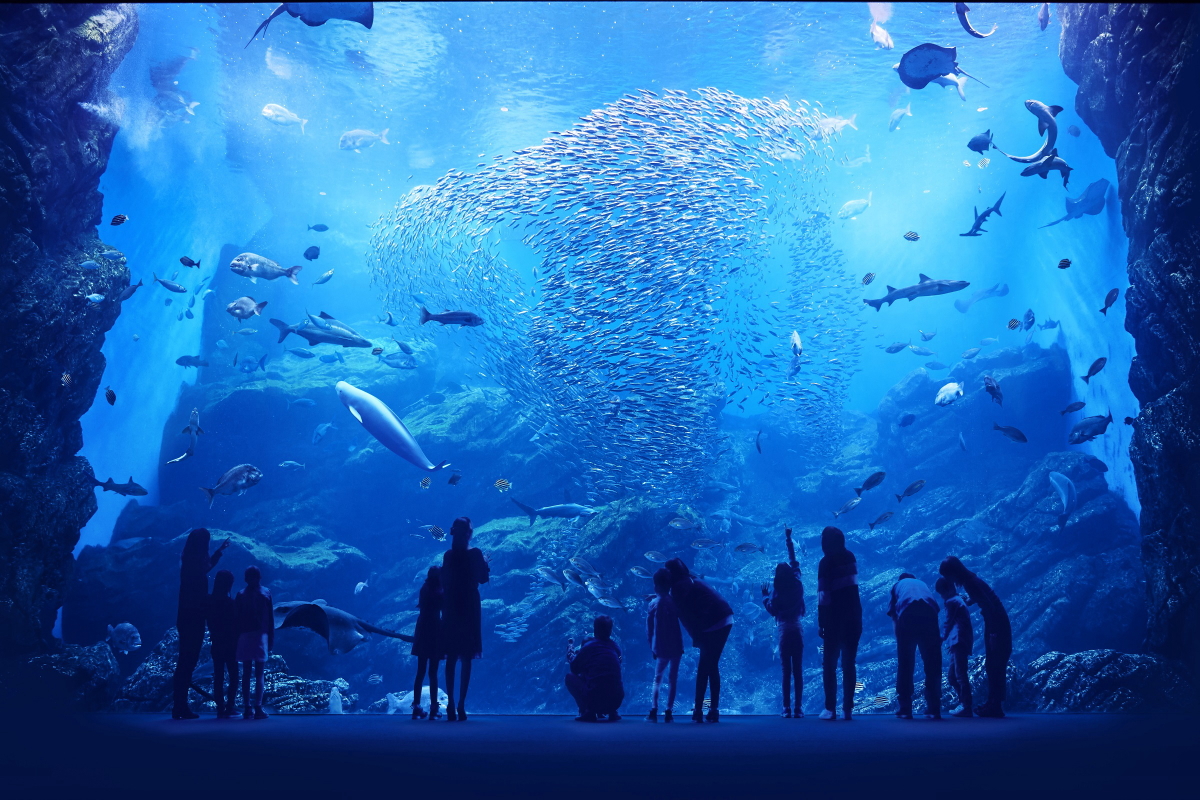 仙台海之森水族馆